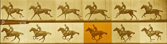 muybridge_caballos